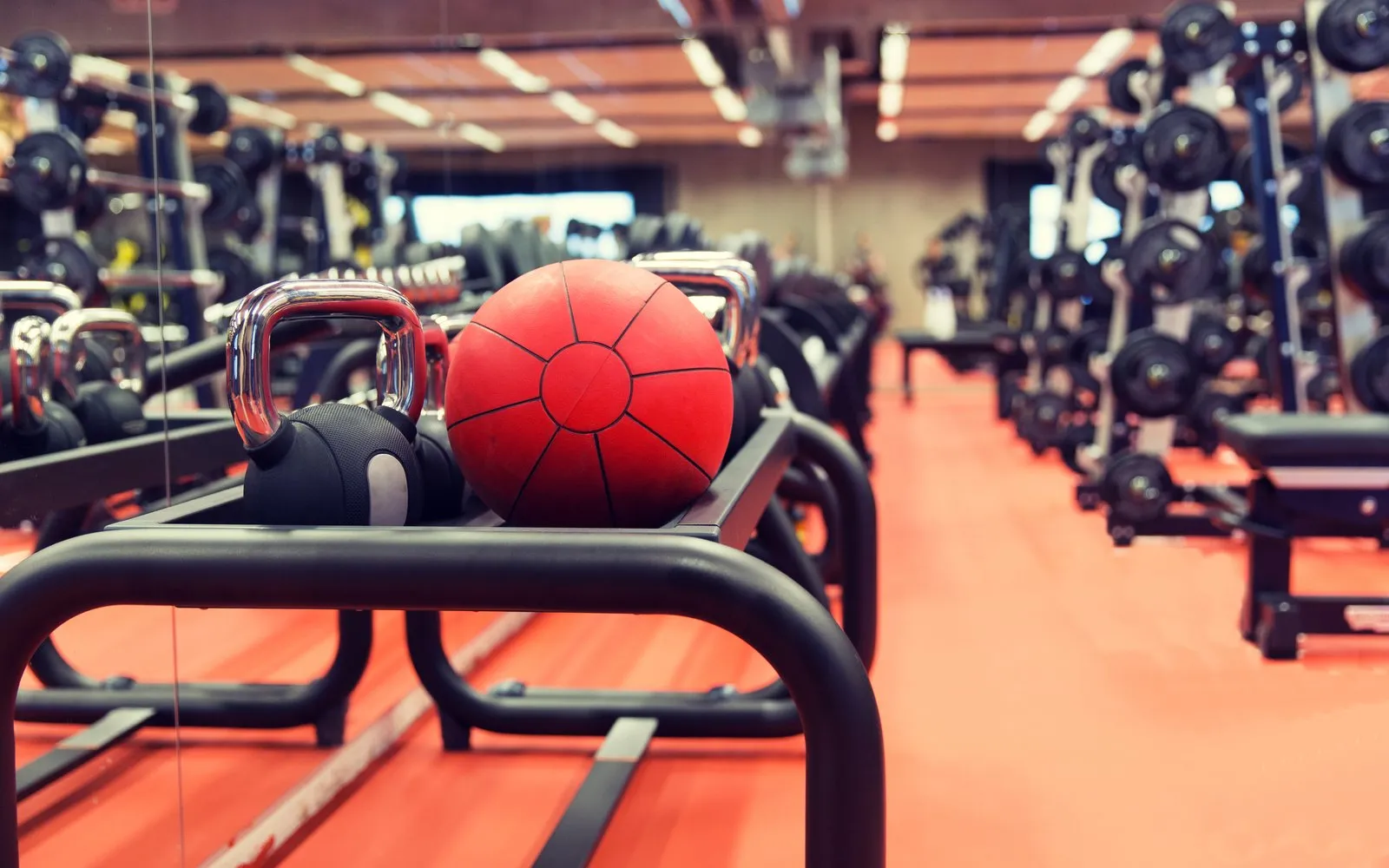 Free weights and a red medicine ball on a rack in a gym